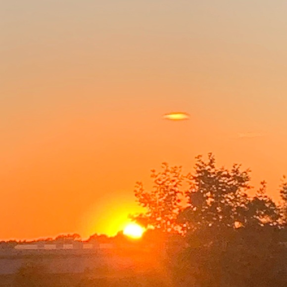 Meet your Posher, Cheyenne - Picture 1 of 1